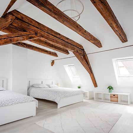 Le Grenier Du Photographe Apartment Kaysersberg-Vignoble Ngoại thất bức ảnh