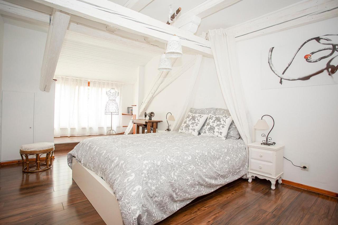 Le Grenier Du Photographe Apartment Kaysersberg-Vignoble Ngoại thất bức ảnh